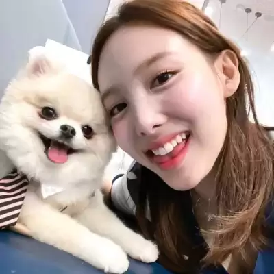 雍恨云